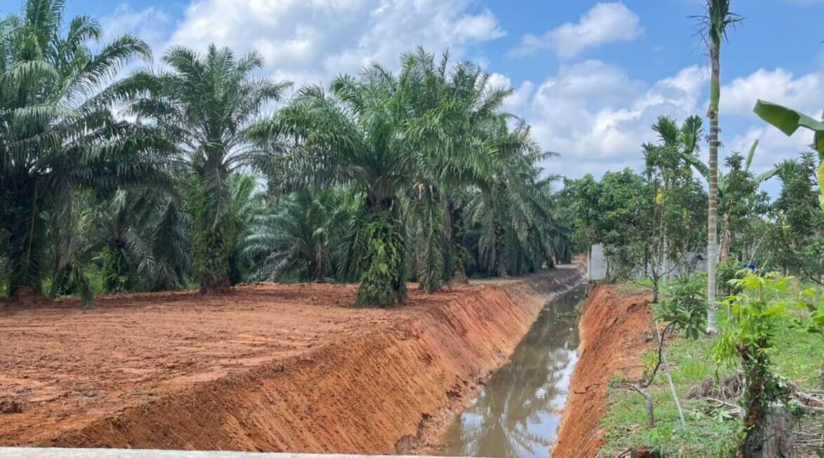 Saluran dan timbunan tanah di kawasan Kandang Mas–Bumi Ayu dengan tanaman di sekelilingnya