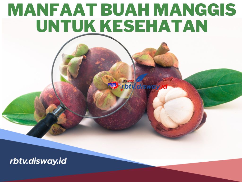 Kaya Akan Nutrisi! ini 5 Manfaat Buah Manggis untuk Kesehatan