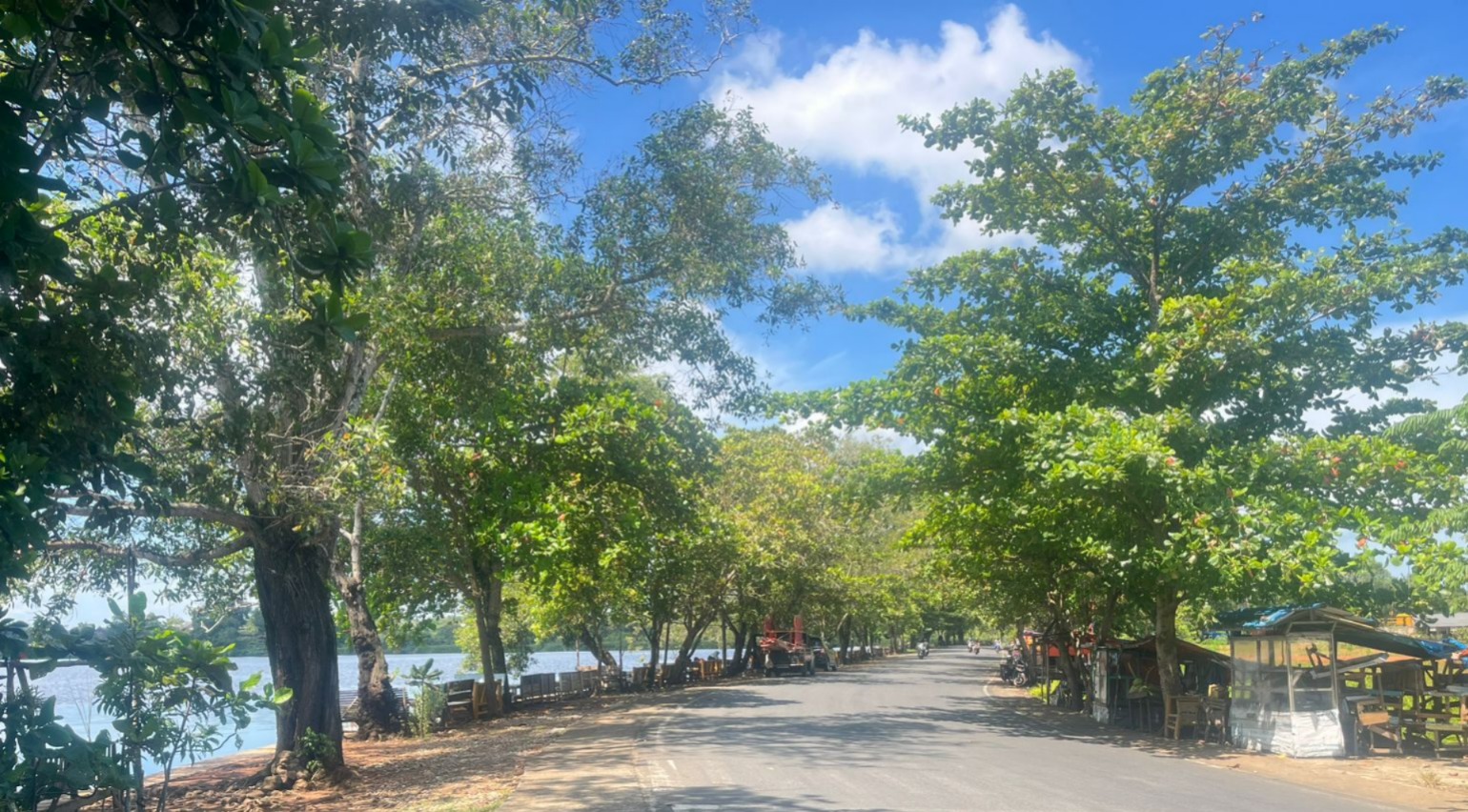 Wali Kota Bengkulu Dedy Wahyudi Beri Tantangan untuk Camat dan Lurah Singaran Pati, Rewardnya Rahasia