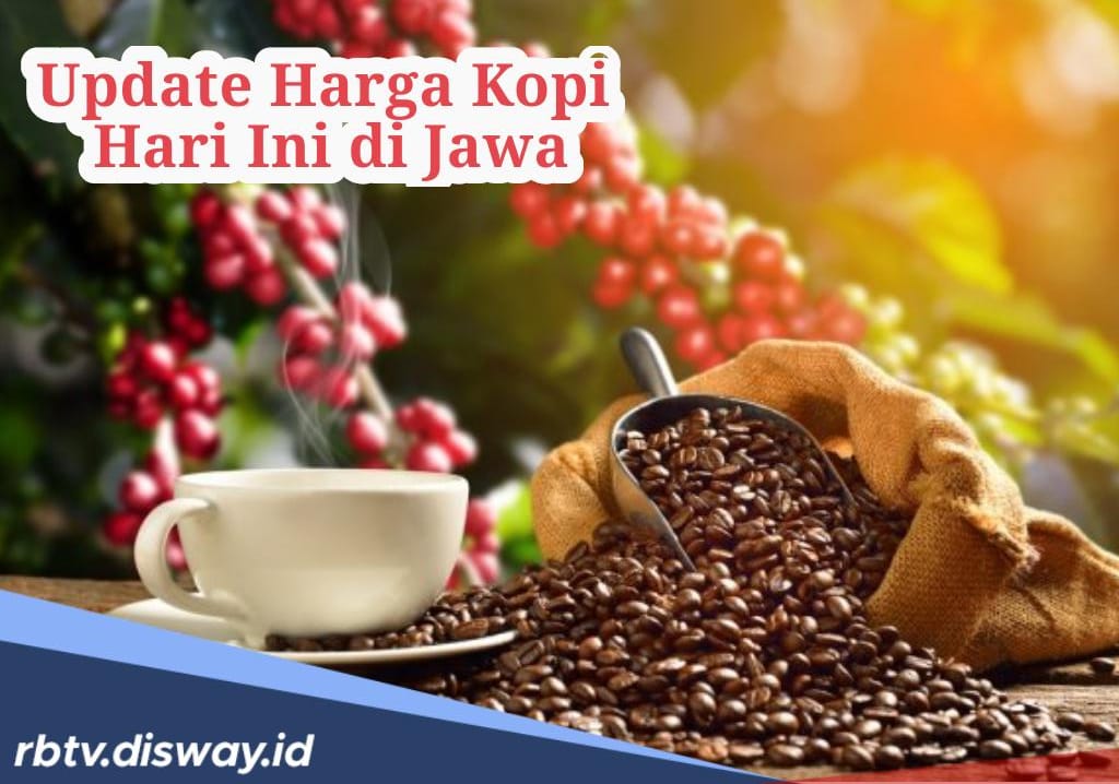 Update Harga Kopi Hari Ini di Jawa, Harga Melonjak Petani Sejahtera