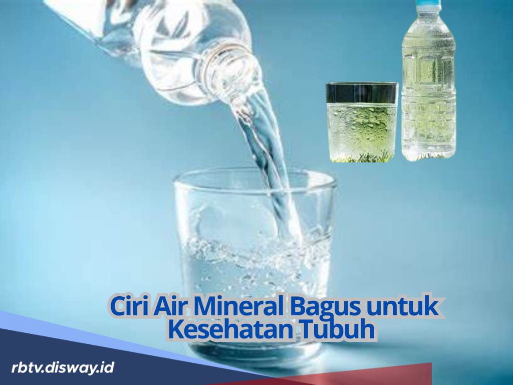 Jangan Sampai Salah Pilih! Kenali Ciri-ciri Air Mineral Bagus untuk Kesehatan Tubuh