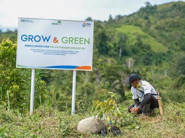 BRI Menanam Grow & Green, Upaya Jaga Kelestarian Ekosistem dari Perubahan Iklim