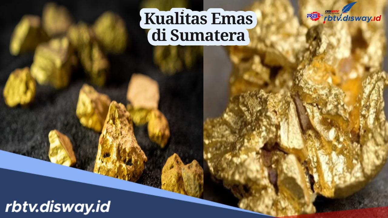 Miliki Cadangan Harta Karun Emas Mencapai 168,6 Juta Ton, Ternyata Ini Kualitas Emas Sumatera