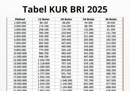 Simulasi Tabel Angsuran KUR BRI 2025 Lengkap Pinjaman Rp 10 - 100 Juta, Sudah Bisa Melakukan Pengajuan