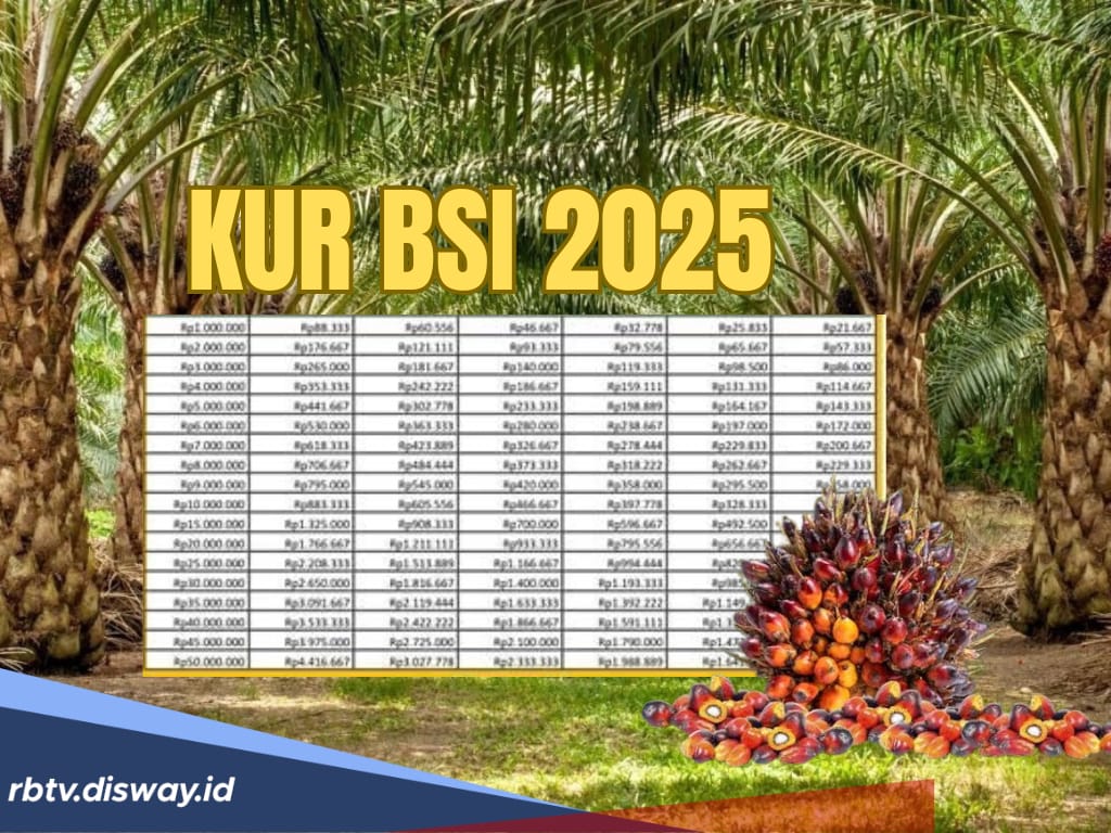 KUR BSI 2025, Pinjaman Rp 30 Juta Anti Riba Bagi PNS untuk Modal Perawatan Kebun Sawit Bisa Diangsur 3 Tahun