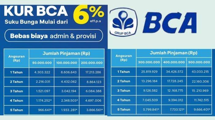 Cara Cepat Mengurus Pengajuan KUR BCA 2025 dari Rumah, Pinjaman Rp 25 Juta-Rp 50 Juta