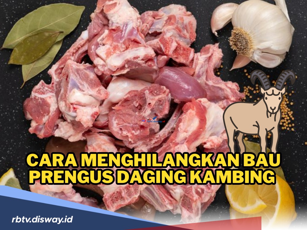 Dapat Daging Kurban Kambing? Begini Cara Menghilangkan Bau Prengus Daging Kambing Sebelum Diolah!