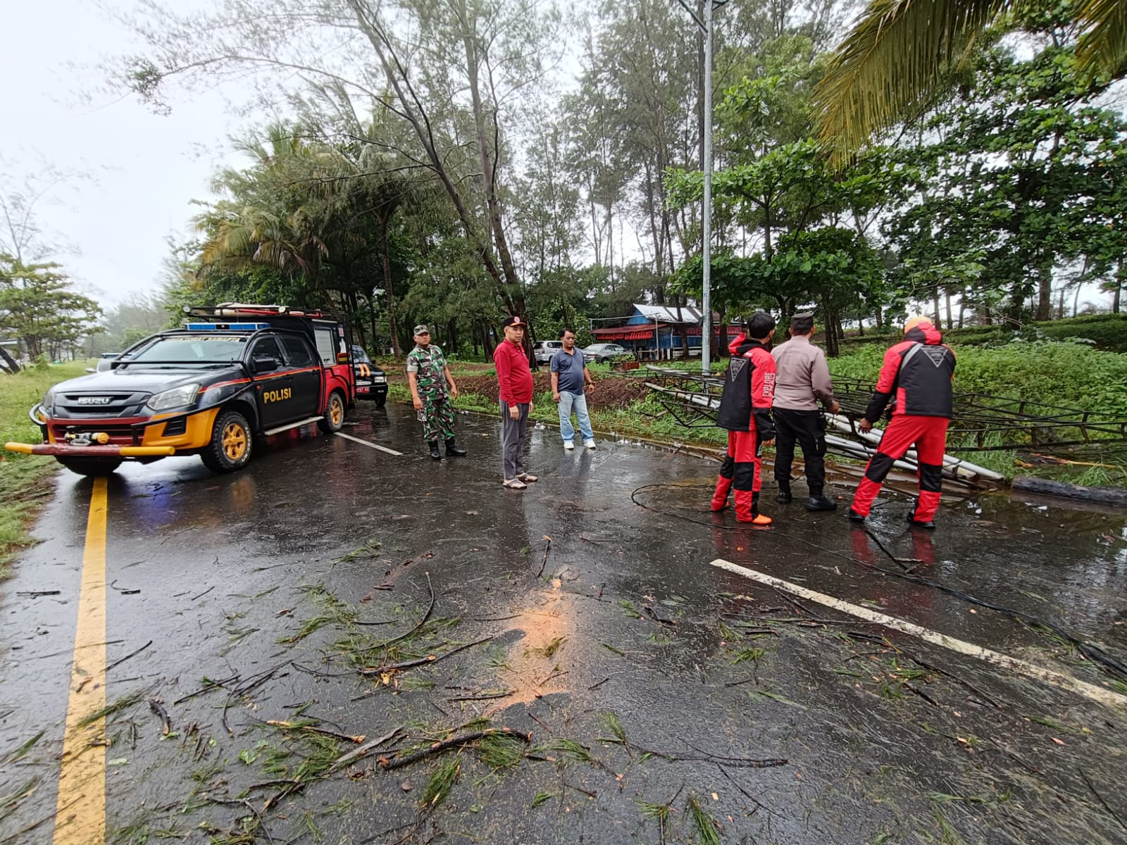 Hujan Badai, Beberapa Titik Pohon Di Kota Bengkulu Tumbang