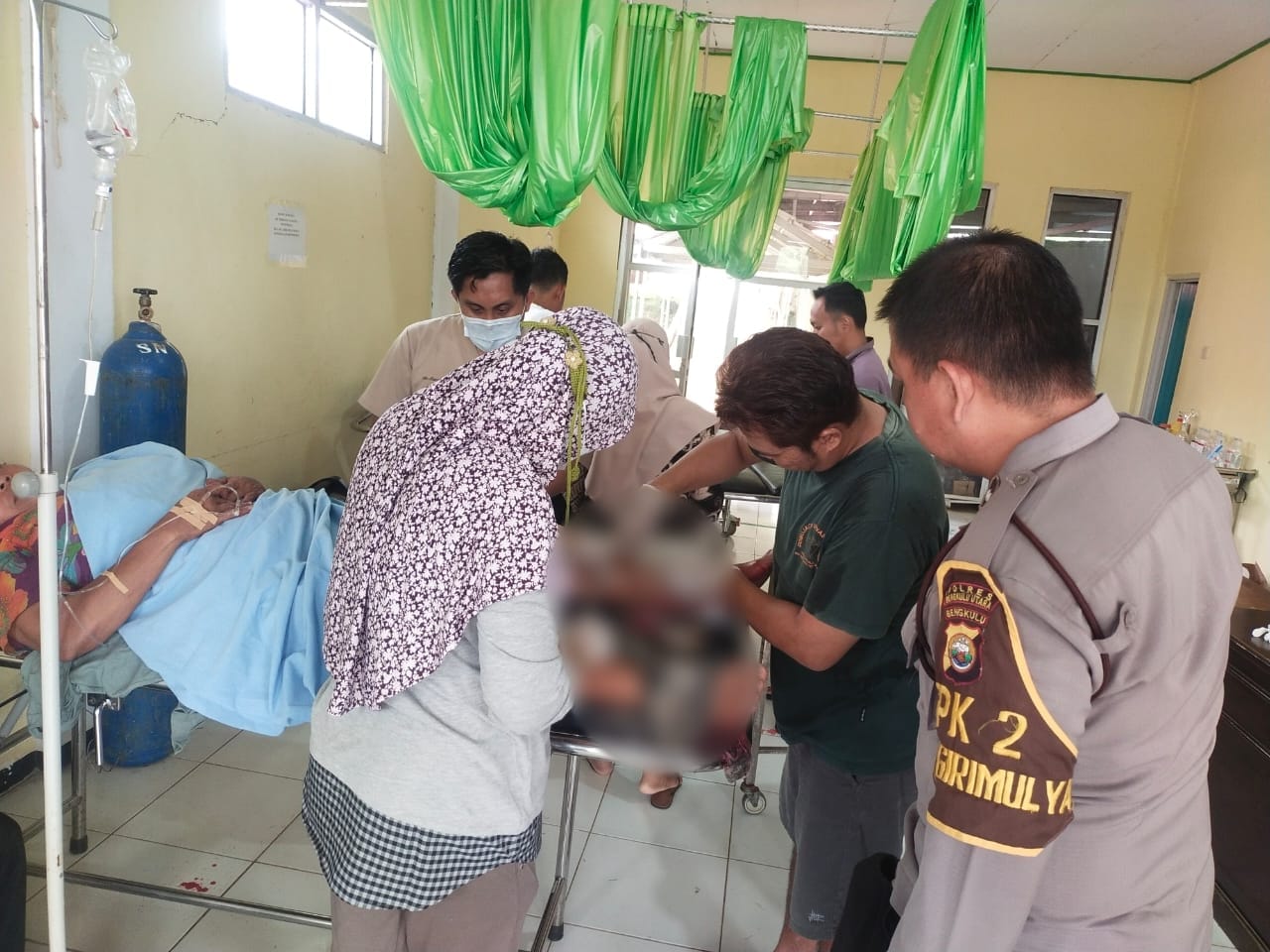 Lagi Menyadap Karet, Petani di Bengkulu Utara Diserang Beruang