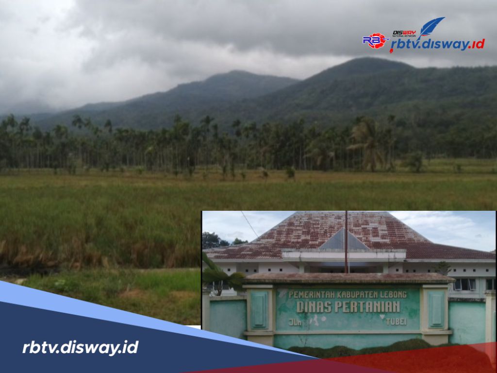 Kuota Pupuk Subsidi untuk Kabupaten Lebong Tembus 3.933 Ton, Berikut Rinciannya