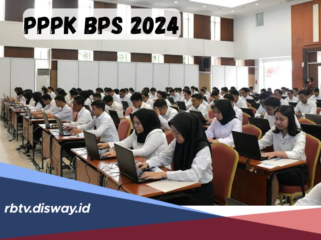 Peluang Kerja PPPK BPS 2024, Cek Jabatan yang Ditawarkan dan Persyaratannya