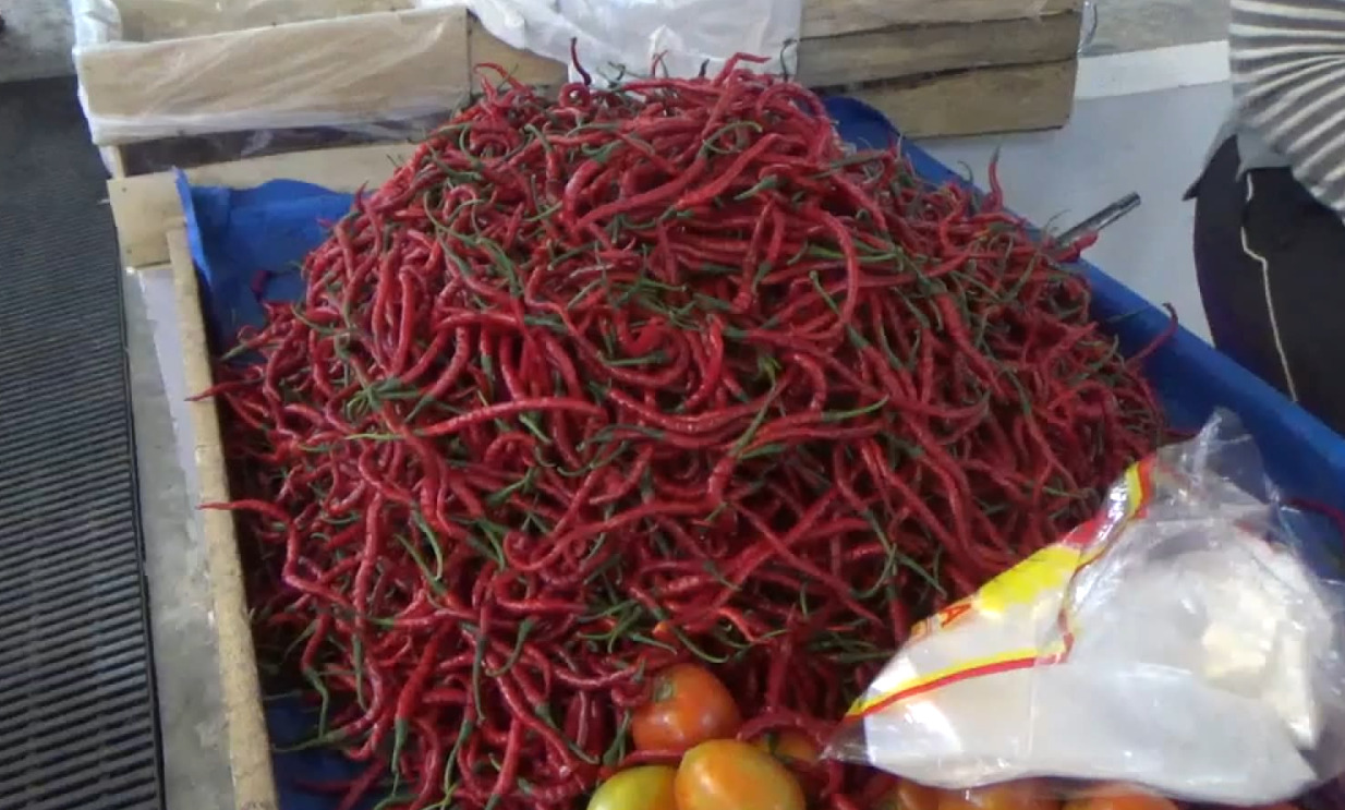 Cabai Merah di Bengkulu Utara Rp 65 Ribu per Kg, Waspada Kenaikan Jelang Nataru