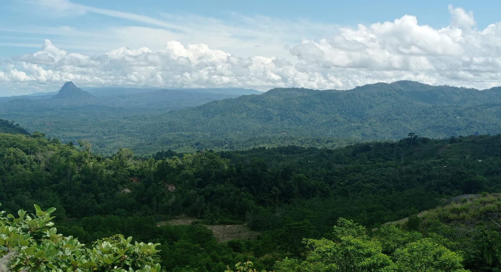 Bukit Sanggul Simpan Emas Lebih Banyak dari PT Freeport Papua, Investor Tertarik