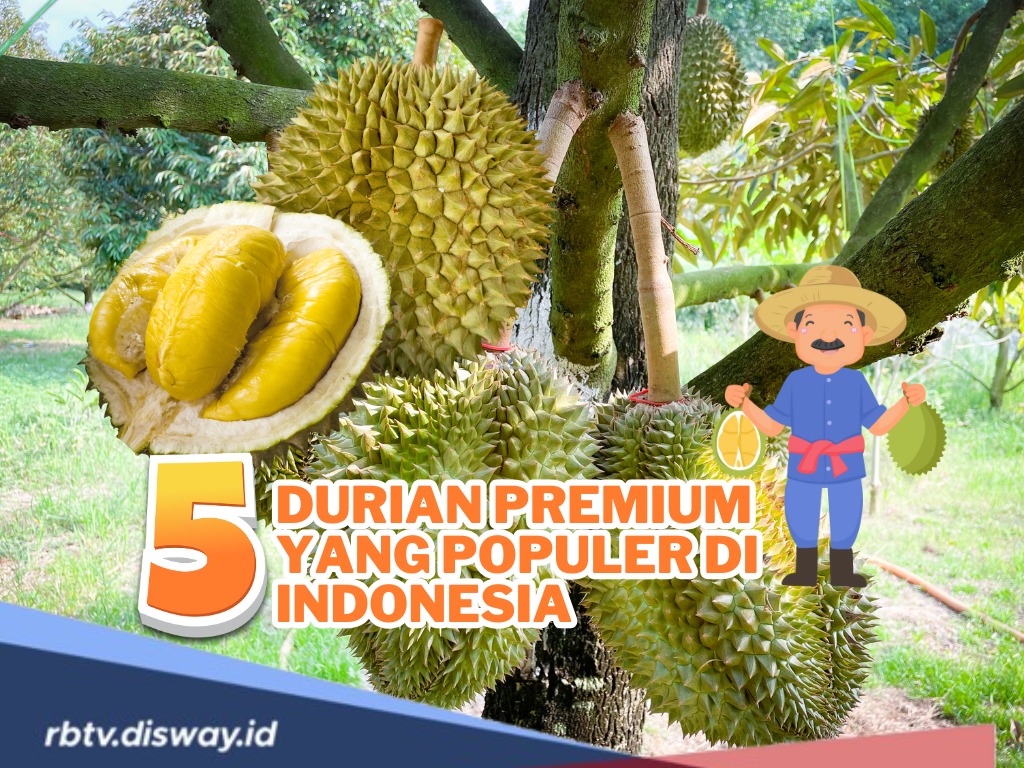 Banjir Durian! Ini 5 Durian Premium yang Wajib Kamu Coba di Indonesia, Legit dan Punya Rasa yang Khas