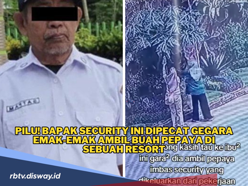 Pilu, Security Ini Dipecat Gegara Emak-emak Ambil Buah Pepaya di Sebuah Resort, Padahal Anaknya Mau Masuk SMA