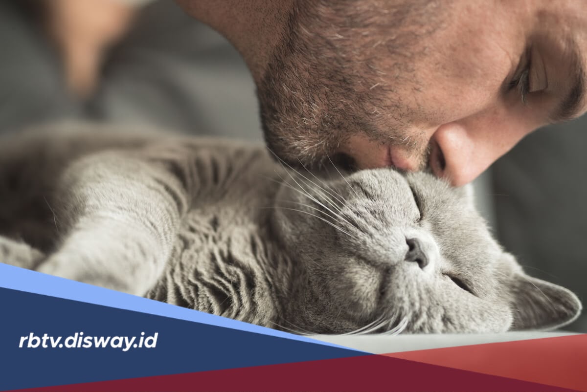 Cat Lover Wajib Tahu! Fakta Unik Kucing yang Bikin Makin Gemas