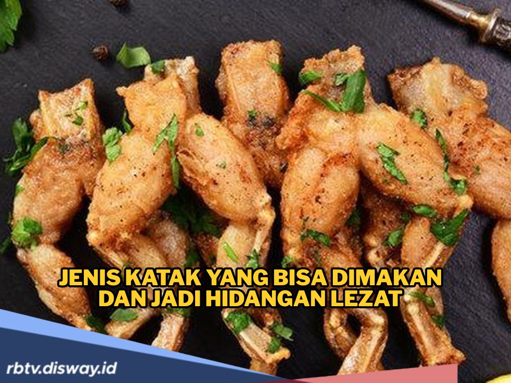 Ramai Soal Hujan Katak di Brazil, Rupanya Jenis Katak Ini Bisa Dimakan dan Jadi Hidangan Lezat