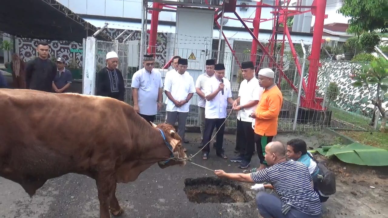 Kejati Bengkulu Kurban 15 Ekor Sapi di Hari Raya Idul Adha 2025