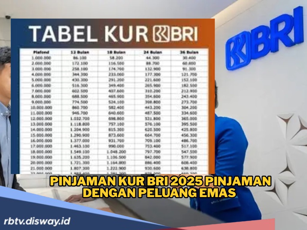 Pinjaman KUR BRI 2025, Peluang Emas UMKM Dapat Tambahan Modal Tanpa Bunga Tinggi
