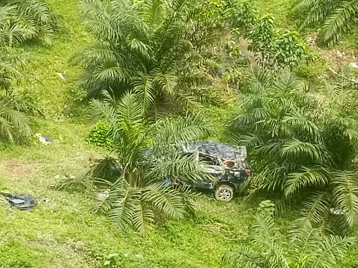 Travel Lampung-Bengkulu Masuk Jurang 70 Meter di Kaur, Ini Daftar Sopir dan Penumpangnya