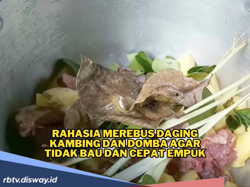 Rahasia Merebus Daging Kambing dan Domba agar Tidak Bau dan Cepat Empuk, Wajib Dicoba saat Olah Daging Kurban