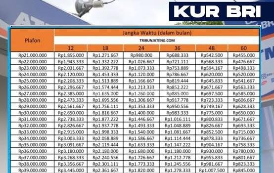 Cek Angsuran KUR BRI Pinjaman Rp 75 Juta dengan Bunga 0,2 Persen, Cicilan Ringan Mulai Rp1 Jutaan