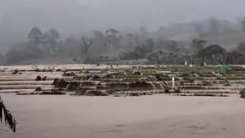 Banjir Rendam Tiga Hektare Sawah dan Putuskan Tiga Gorong-gorong di Lubuk Resam 