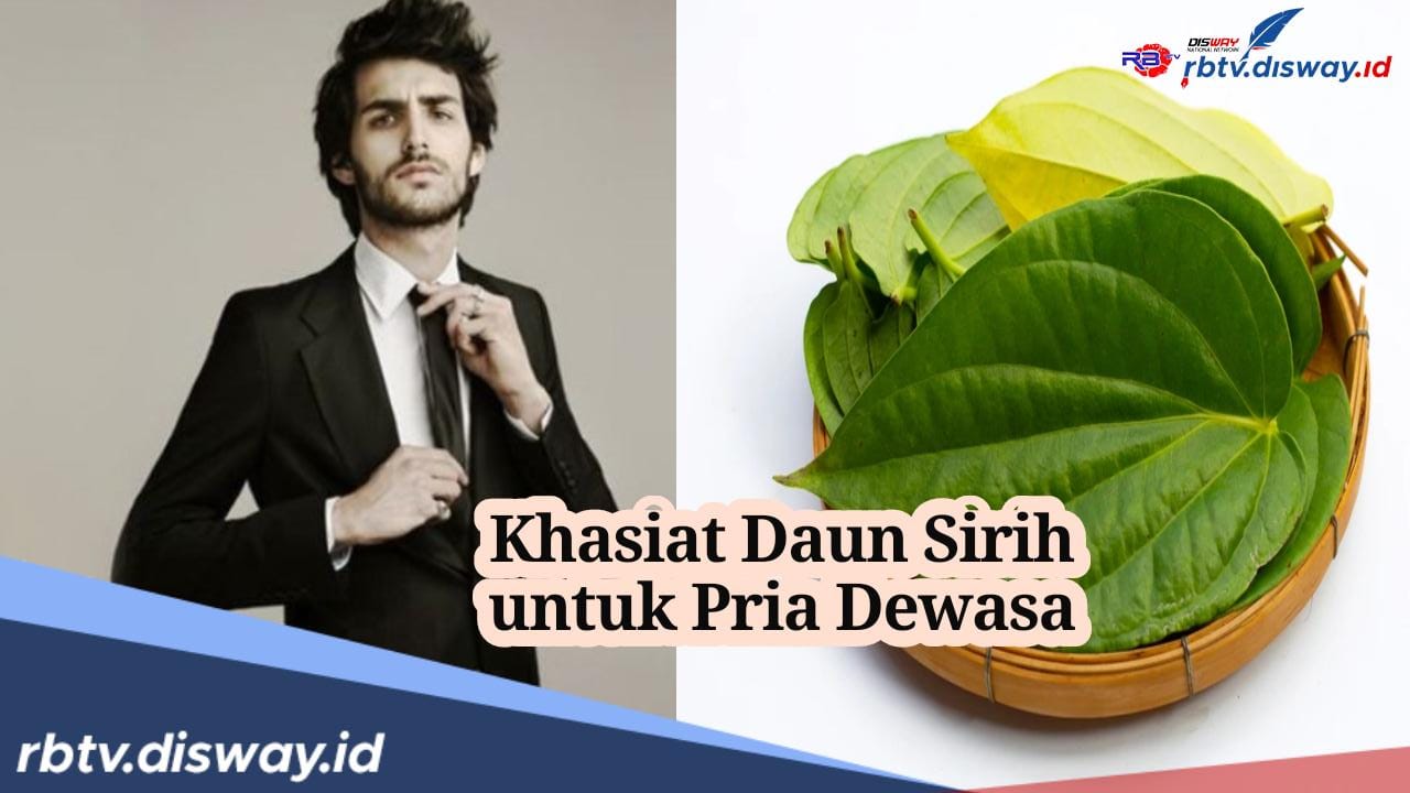 Khasiat Daun Sirih untuk Pria Dewasa, Konsumsi Malam Hari Efeknya Langsung Terasa