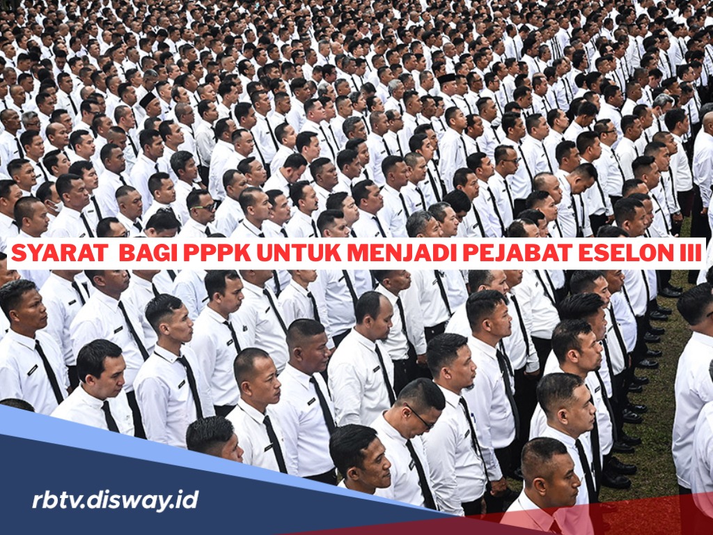 Syarat Umum dan Khusus Bagi PPPK untuk Menjadi Pejabat Eselon III