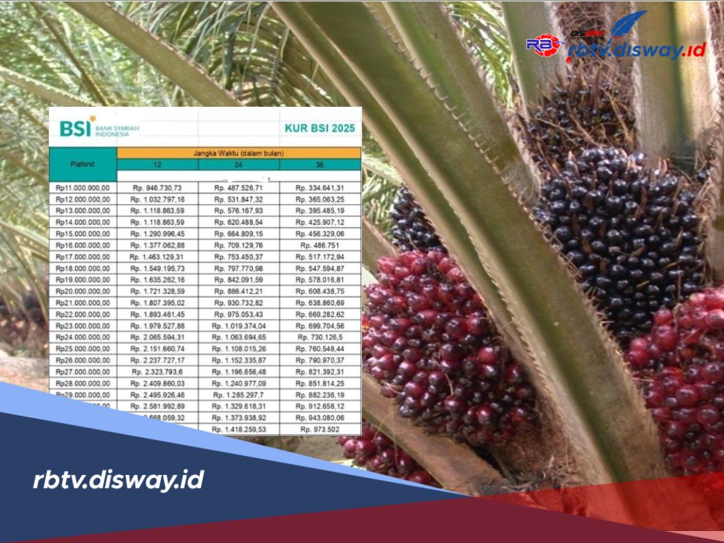 Mau Buka Usaha Kebun Sawit? KUR BSI 2025 Siap Bantu Modal Rp 100 Juta Tanpa Ribet!