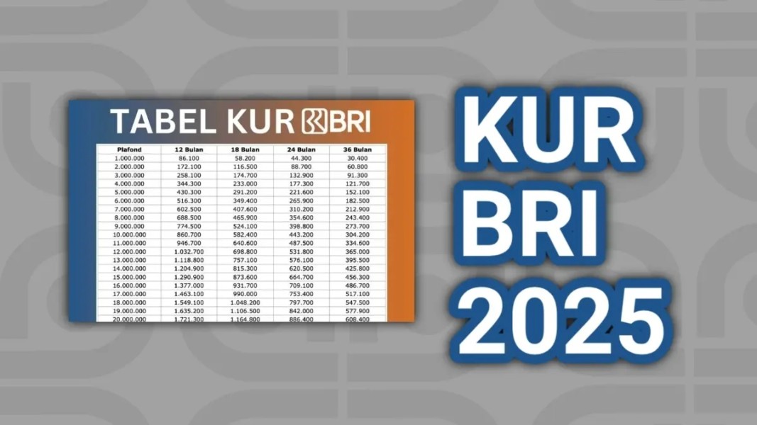 Angsuran Lengkap Pinjaman PNS KUR BRI Plafon Rp 1 hingga 100 Juta, Bisa Bayar Rp 21 Ribu per Bulan