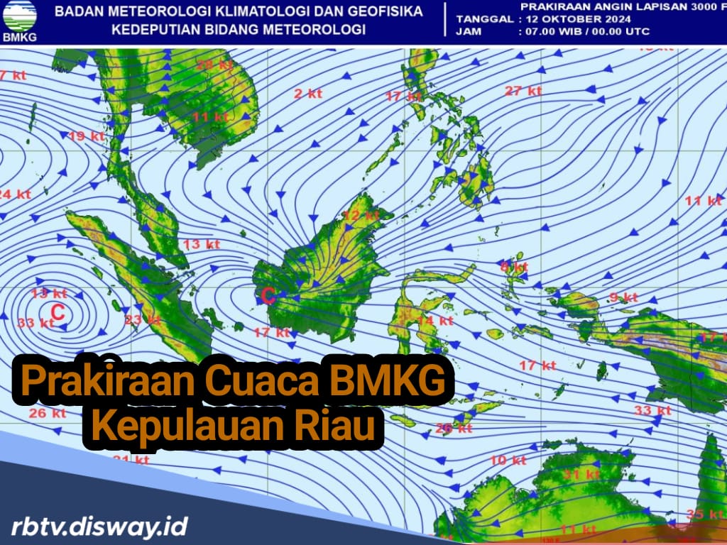 Peringatan Dini Cuaca Ekstrem, BMKG: 4 Wilayah Kepulauan Riau Waspada Hujan dan Petir