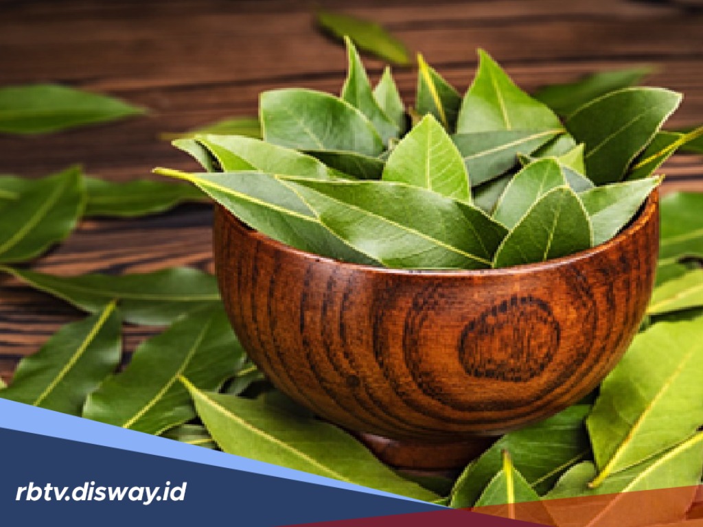 12 Manfaat Daun Salam untuk Kesehatan, Ini Bermacam Kandungannya