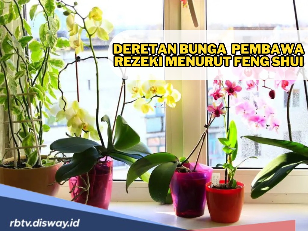 Tak hanya Buat Estetik, Rupanya Deretan Bunga dan Tanaman Ini Pembawa Rezeki Menurut Feng Shui