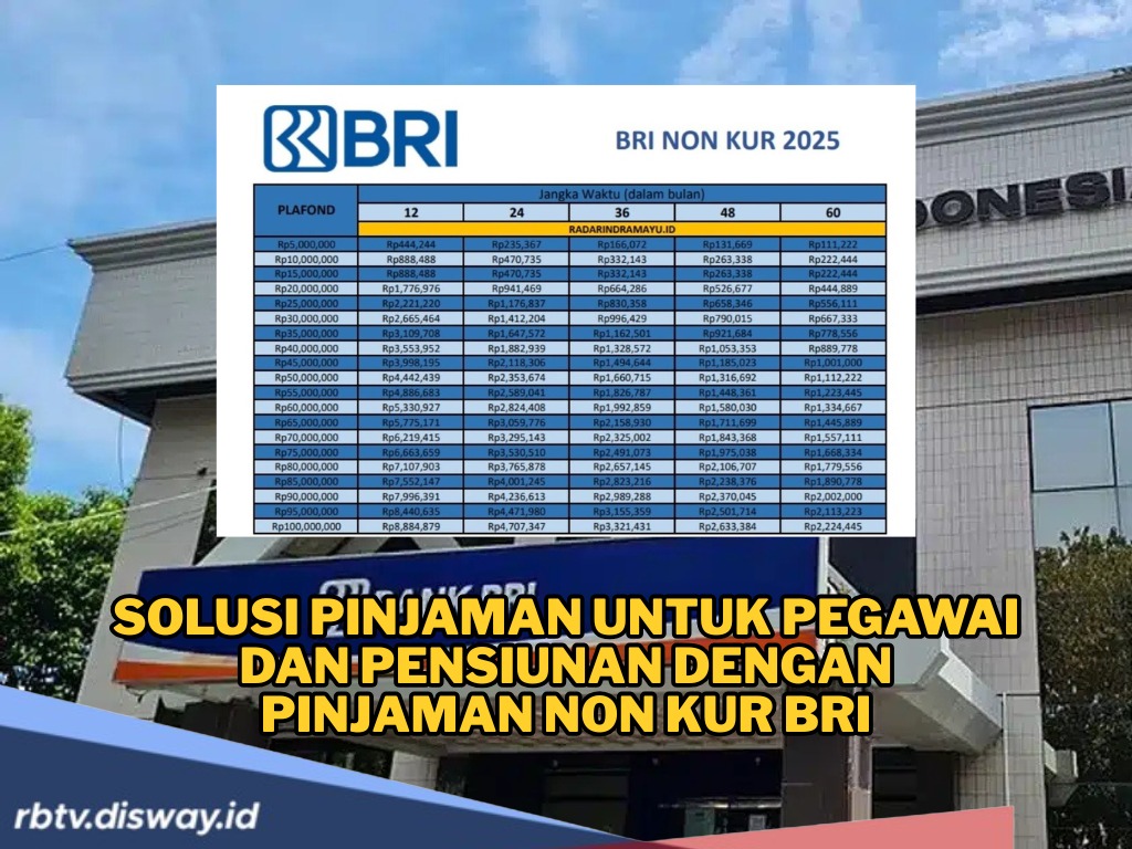 Tidak Bisa Ajukan KUR BRI? Inilah Solusi Pinjaman untuk Pegawai dan Pensiunan Skema Non KUR BRI