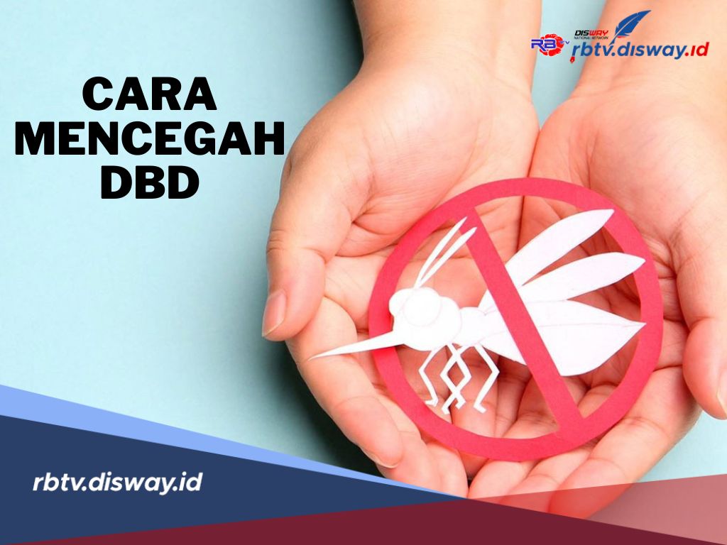 9 Cara Mudah Mencegah DBD, Bisa Diterapkan Sejak Dini