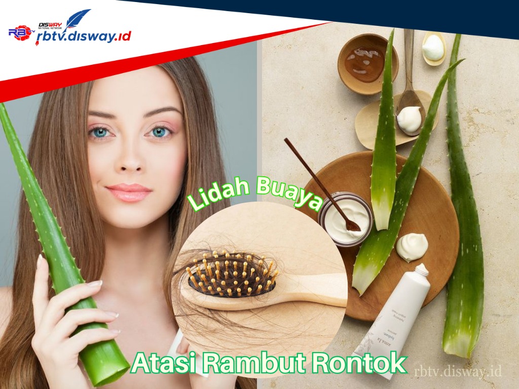 Cukup Pakai Bahan Alami, Ini 4 Cara Mengatasi Rambut Rontok dengan Lidah Buaya, Lebih Sehat