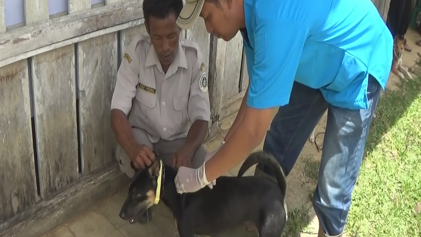 Tekan Kasus Rabies, Dinas Pertanian Seluma Usulkan 8.000 Dosis Vaksin Anti Rabies