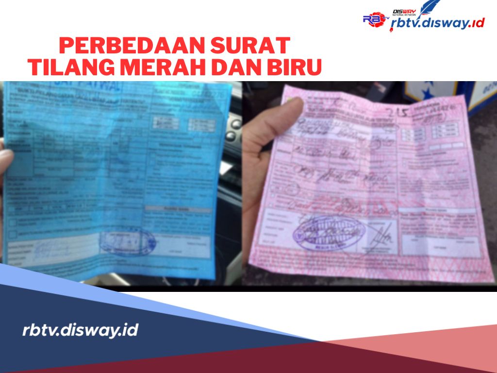 Serupa Tapi Tak Sama, Ini Perbedaan Surat Tilang Merah dan Surat Tilang Biru