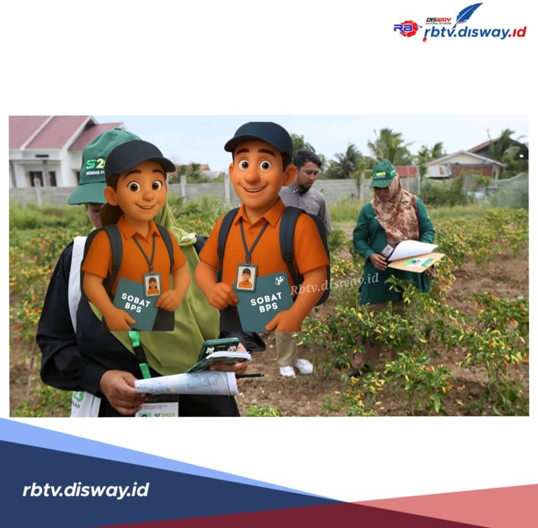 Awas Terlewat, Ini Tahap Seleksi Akhir Rekrutmen Calon Mitra Statistik BPS 2026