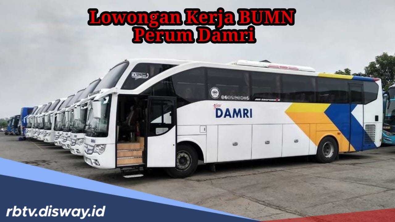 Lulusan SMA/SMK Merapat, BUMN Damri Buka Lowongan Kerja Terbaru Agustus 2024, Ini Syaratnya!