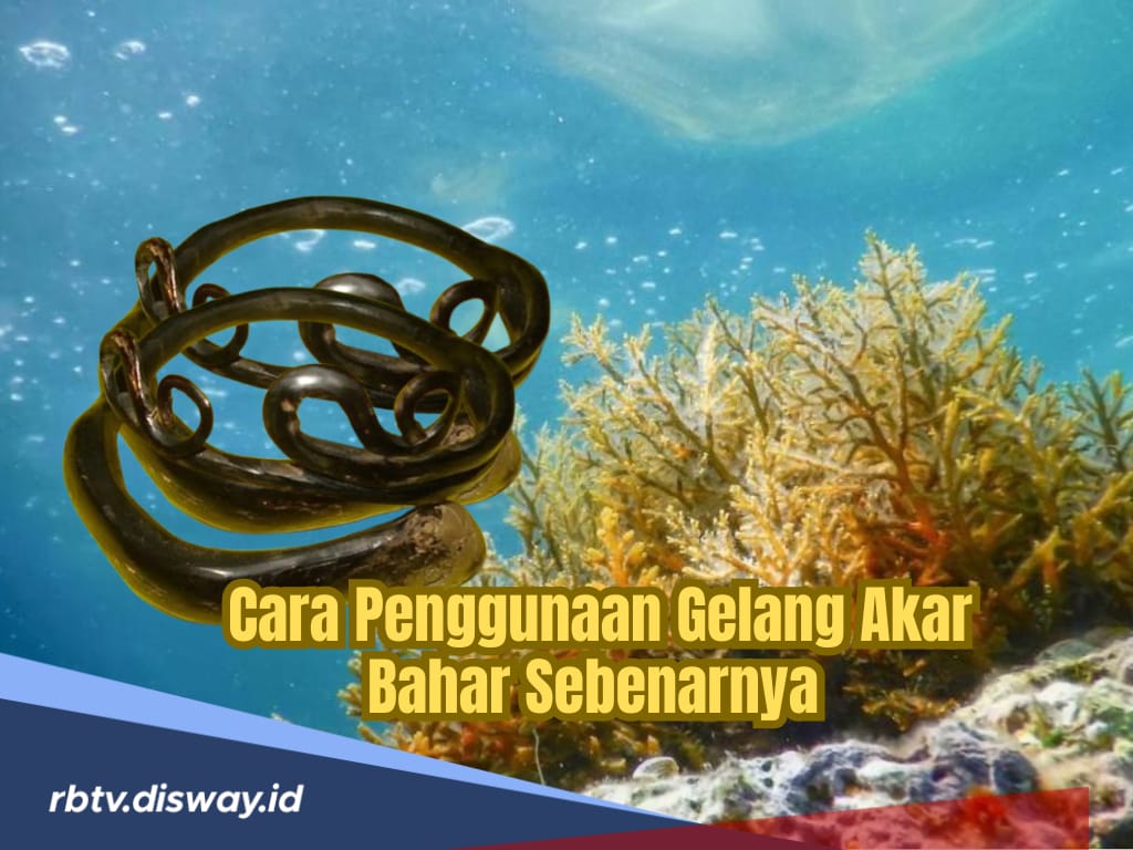 Jangan Asal Pakai, Begini Cara Penggunaan Gelang Akar Bahar yang Sebenarnya 