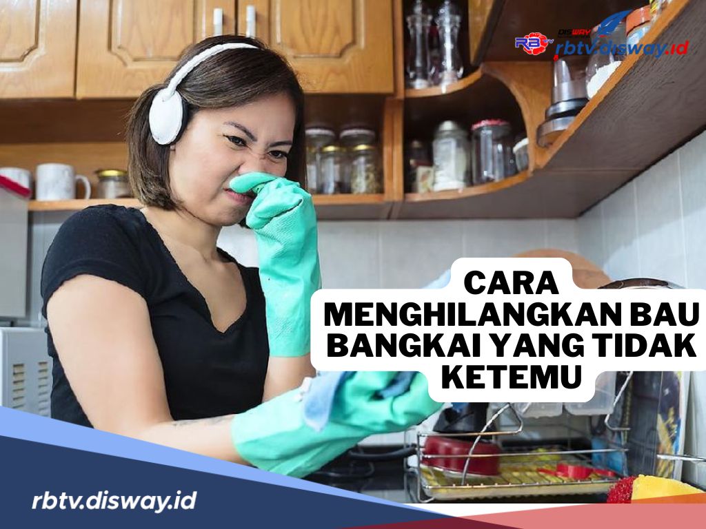 8 Cara Menghilangkan Bau Bangkai yang Tercium di Rumah dan di Kantor, Tapi Tidak Diketahui Lokasinya