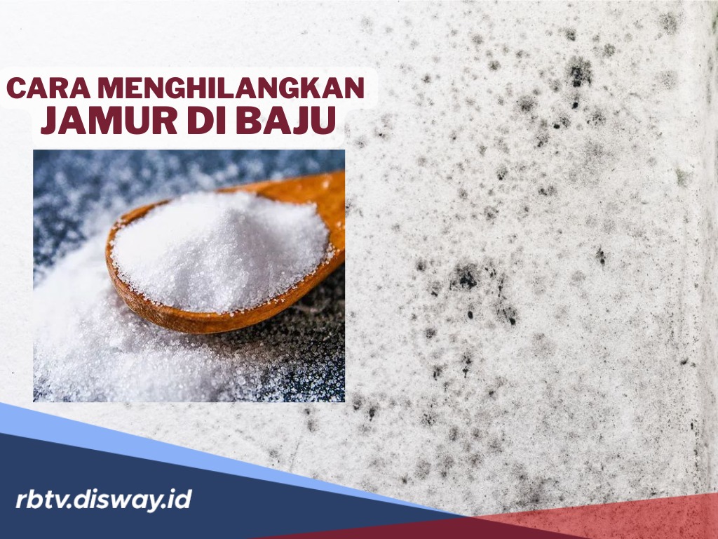 6 Cara Praktis Menghilangkan Jamur di Baju, Bisa Langsung Dicoba  