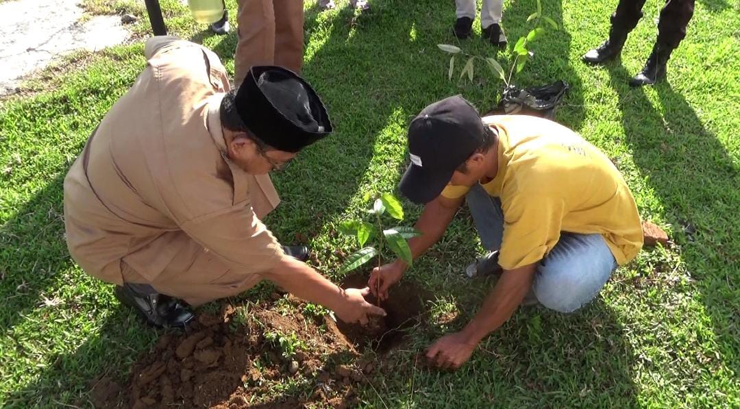Desa Ini Siapkan Ratusan Bibit Durian Super Aksi Tanam Serentak