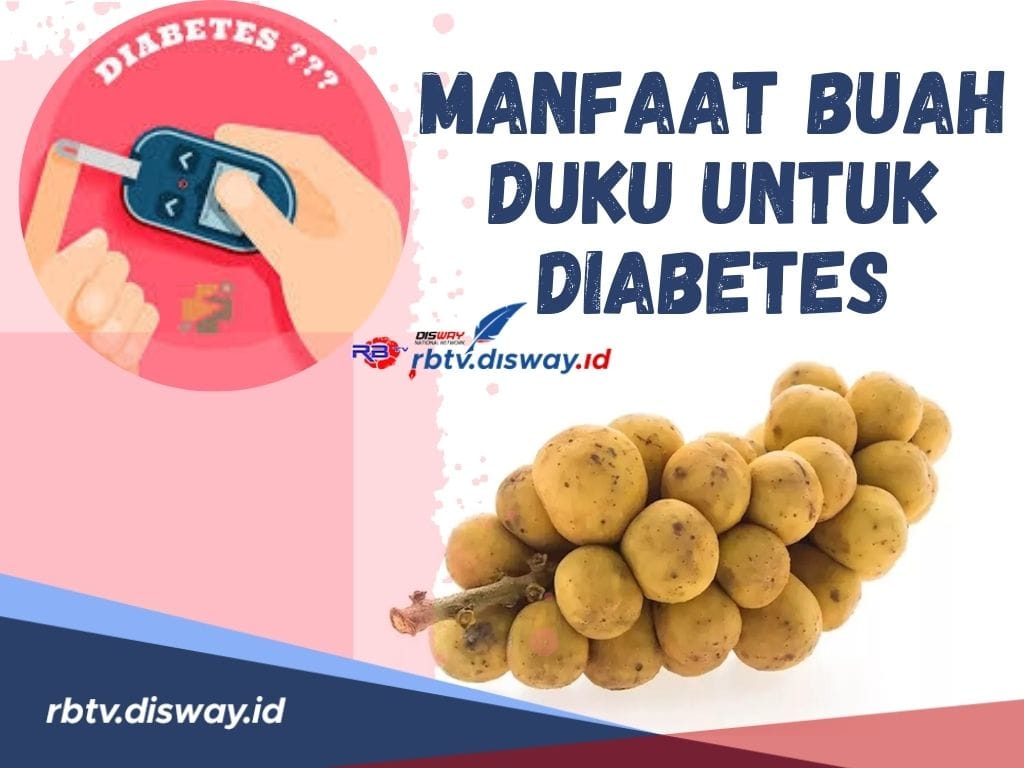 Atasi Kadar Gulamu! Ini Manfaat Buah Duku untuk Diabetes Dijamin Beres