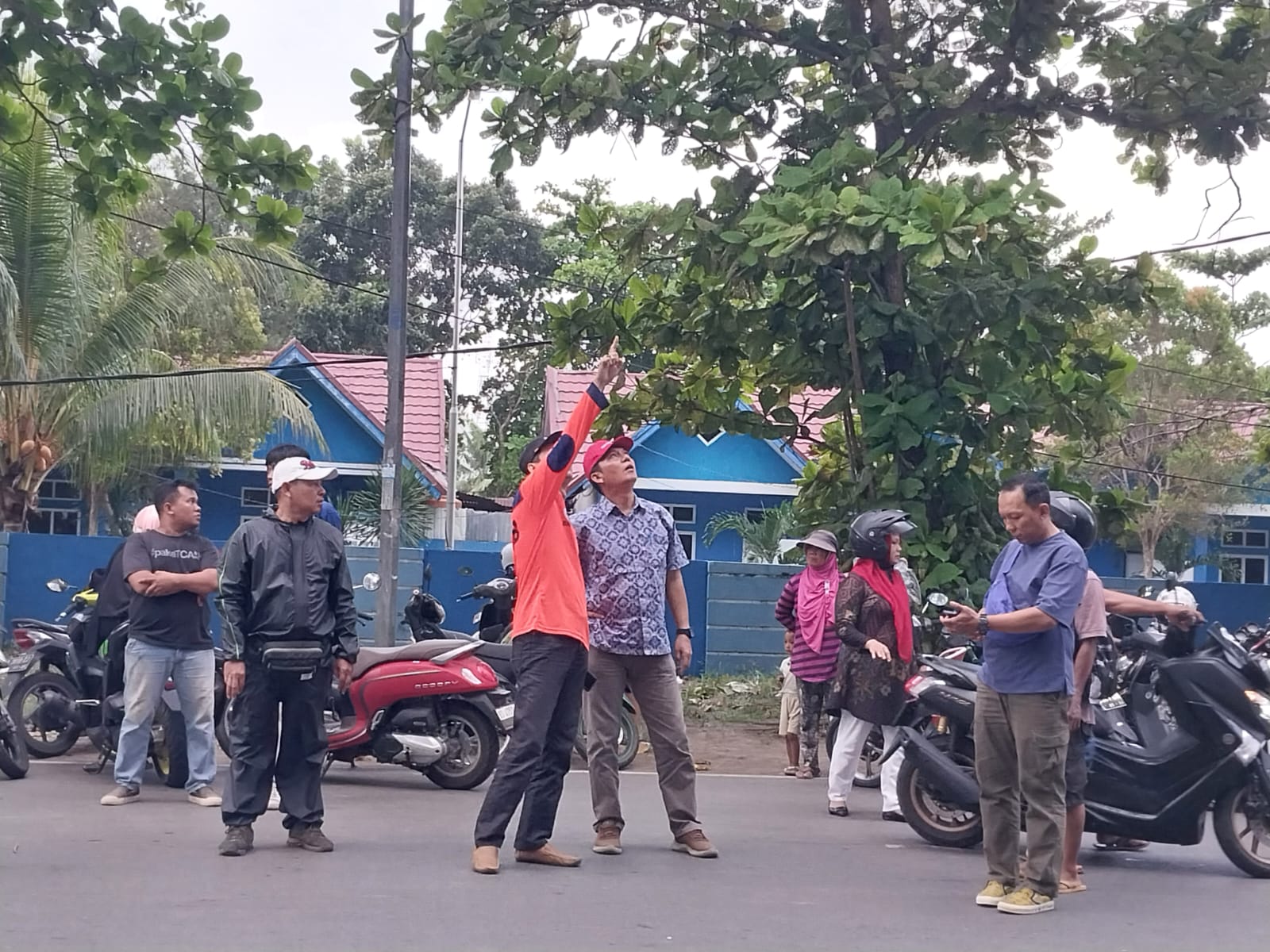 3 Pengendara Tertimpa Pohon, 1 Meninggal Dunia, Ini yang Dilakukan Dispar Pasca Kejadian