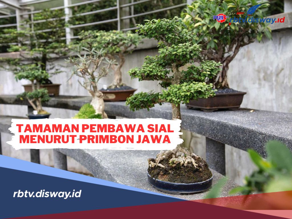 Ini 10 Tanaman Pembawa Sial Menurut Primbon Jawa, Nomor 6 Jarang Diketahui