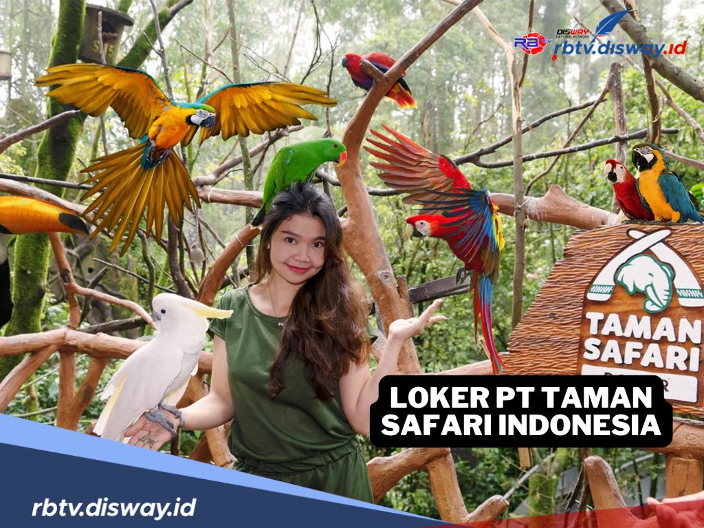 PT Taman Safari Indonesia Buka 41 Lowongan Pekerjaan Awal Tahun 2025, Ini Daftarnya