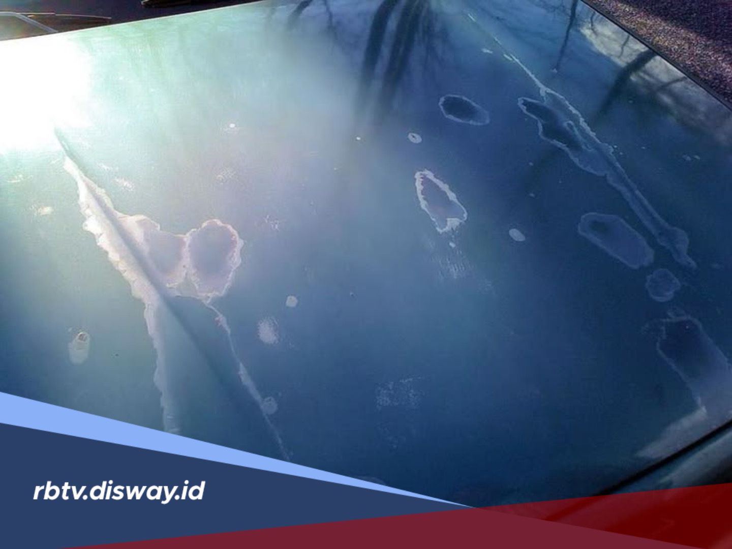 Cara Ampuh Menghilangkan Jamur Kaca Mobil Menggunakan Bahan Rumahan